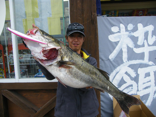 最新釣果報告