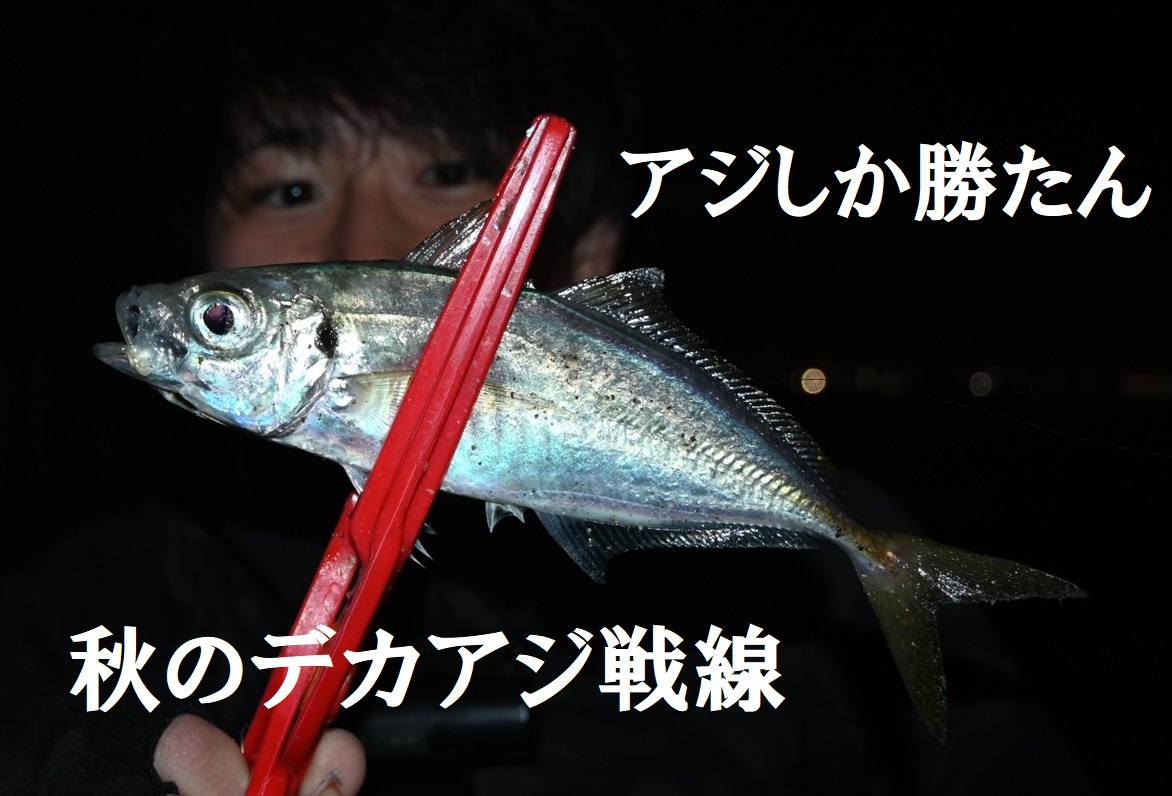 脂激乗り 秋のデカアジ戦線 つり具 山陽 Webサイト 脂激乗り 秋のデカアジ戦線 つり具 山陽 Webサイト